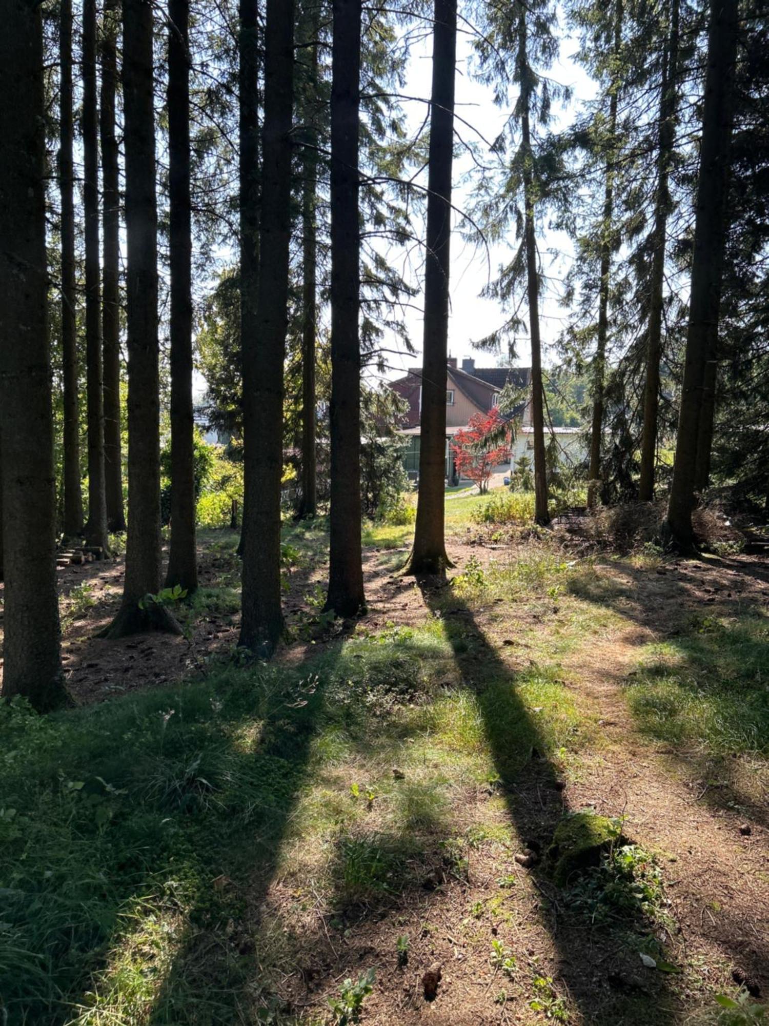 Bergwiesenblick38678 Clausthal-Zellerfeld Extérieur photo